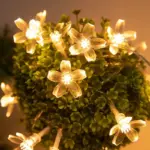 ⁦أضواء كرز بلossom بلورية ساحرة⁩ - الصورة ⁦4⁩